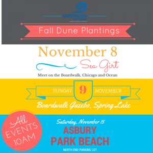 halloween dune planting-6 (3)