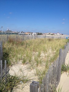 photo (14)