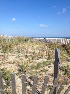 photo (15)