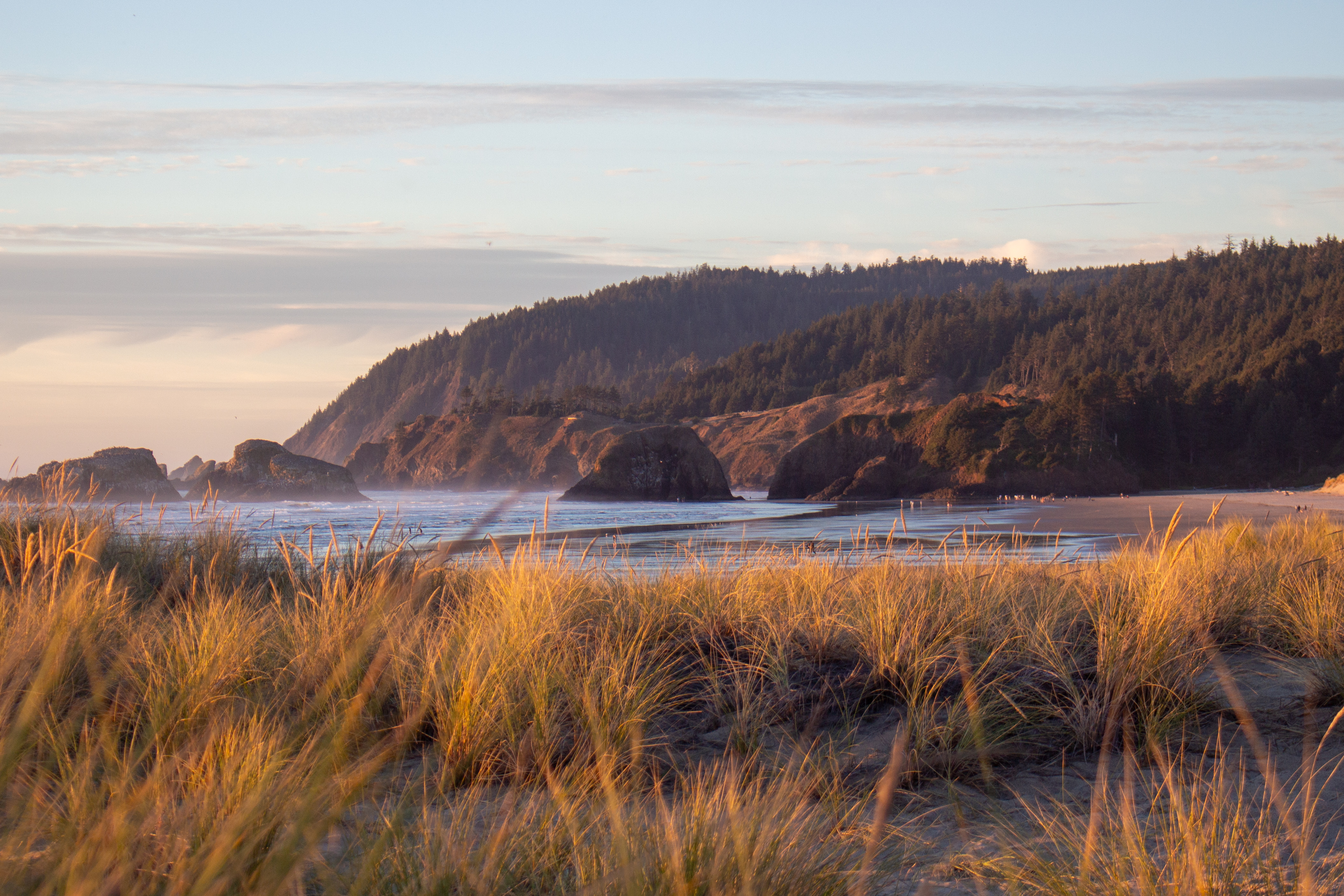 Protect Cannon Beach Dunes From Private Dozers